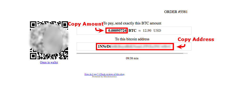 blockonomics payment page